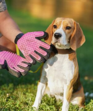 Pet brushing gloves - 1 pair